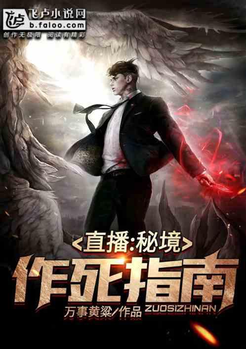 无忧国际wy6999