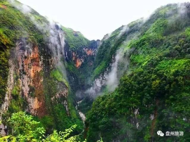 为什么会长湿疹和荨麻? - 快速智慧问答